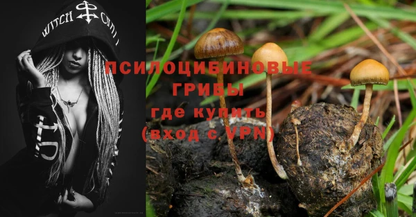 амф Абинск